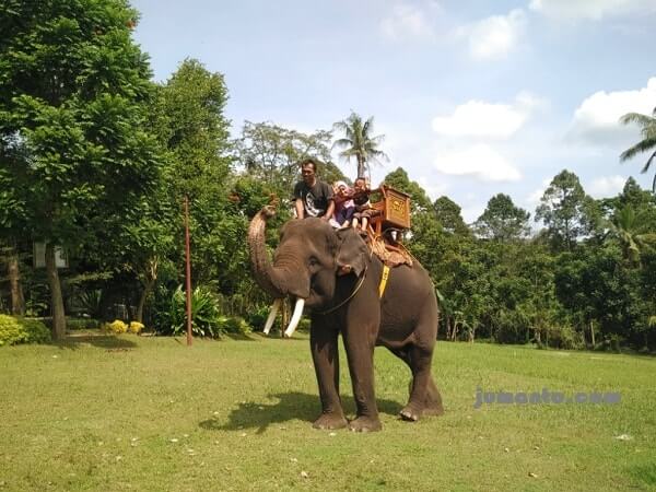 foto naik gajah di taman satwa lembah hijau