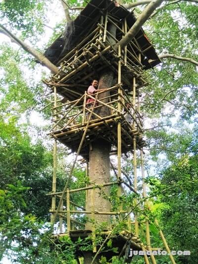 rumah pohon lampung di taman kupu kupu gita persada