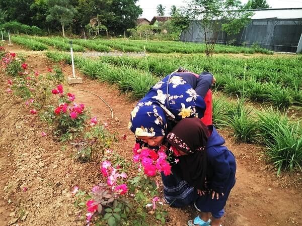 wisata horti park lampung