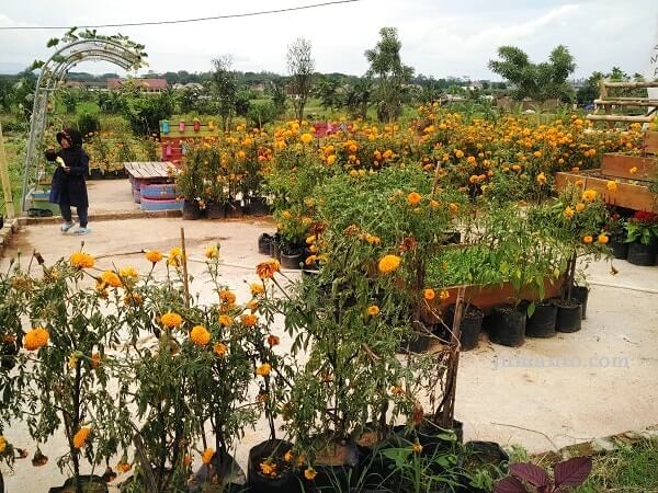 Lampung Horti Park, dilengkapi dengan taman bunga di Bandar Lampung