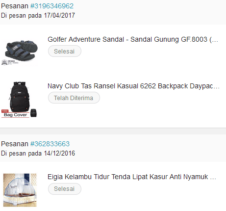 Review Pengalaman Belanja di Lazada, Enakan Mana Sama Shopee?