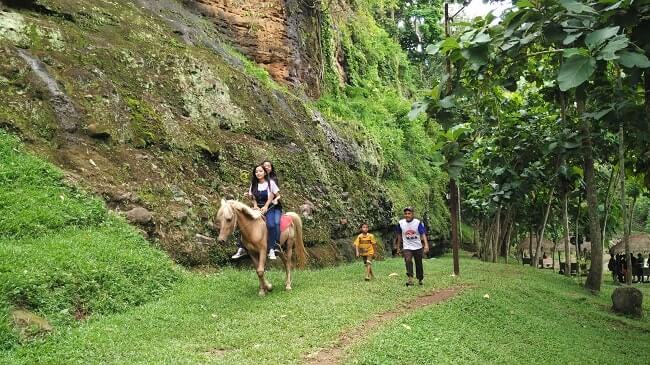 Lokasi Wahana Cottage Dan Harga Tiket Masuk Wira Garden