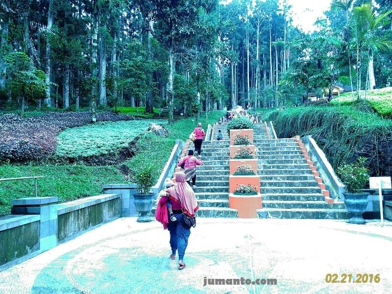 naik tangga ke kebun raya baturaden foto kebun raya baturaden