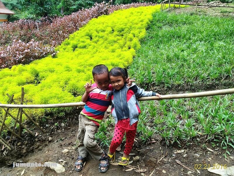 taman bunga kebun raya baturaden gambar taman bunga kebun raya baturaden