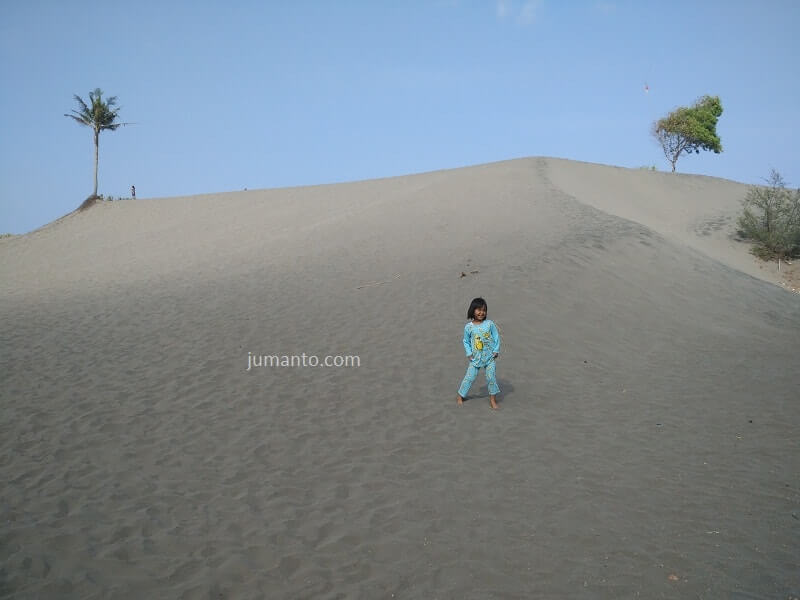 Wisata Gumuk Pasir Parangtritis Jogja Tiket Masuk Lokasi