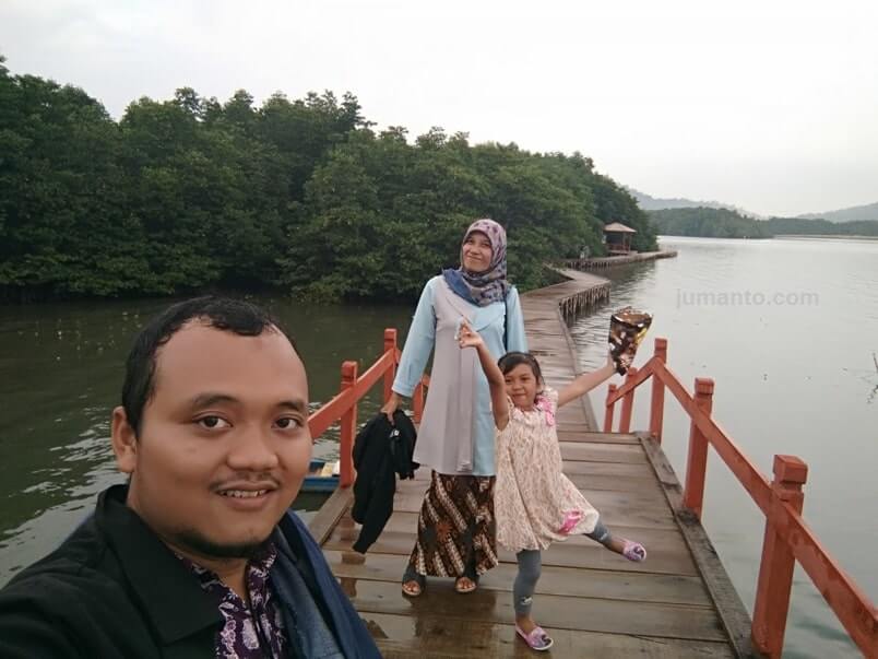 gambar hutan mangrove desa gebang pesawaran lampung