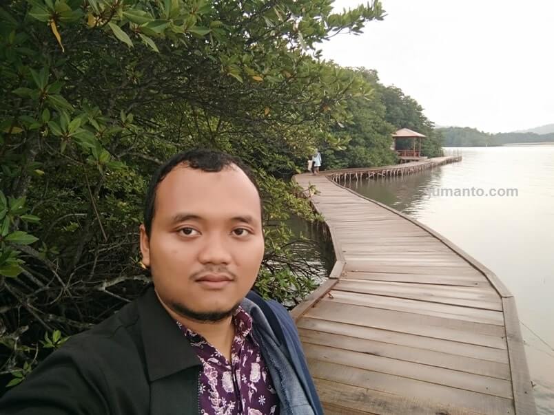 foto hutan mangrove petengoran pesawaran lampuung