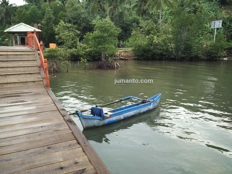 wisata pantai hutan mangrove desa gebang pesawaran lampung
