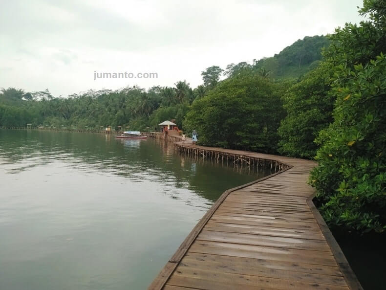 foto liburan ke hutan bakau lampung