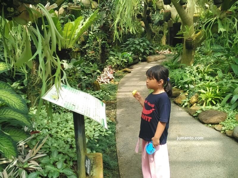 Harga Tiket Masuk Kebun Raya Bogor 2020 Jam Buka Peta Sejarah<script async src=