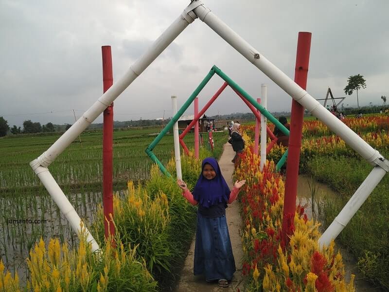 foto taman sabin pringsewu