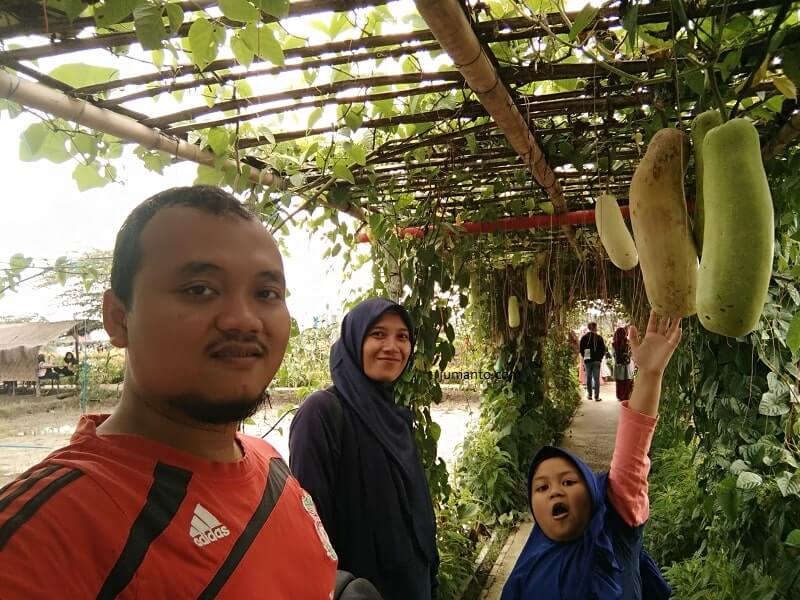 taman sabin gadingrejo