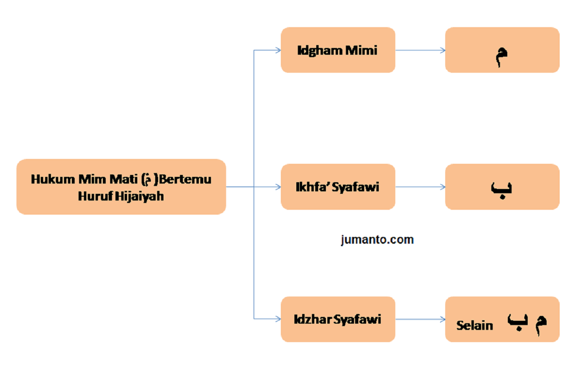gambar diagram hukum mim mati bertemu huruf hijaiyah