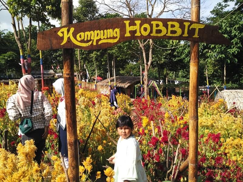 foto taman bunga celosia umbul helau lampung